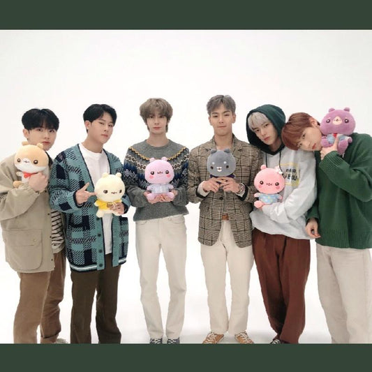 Peluche membre Monsta X de 30cm - BEST KPOP SHOP