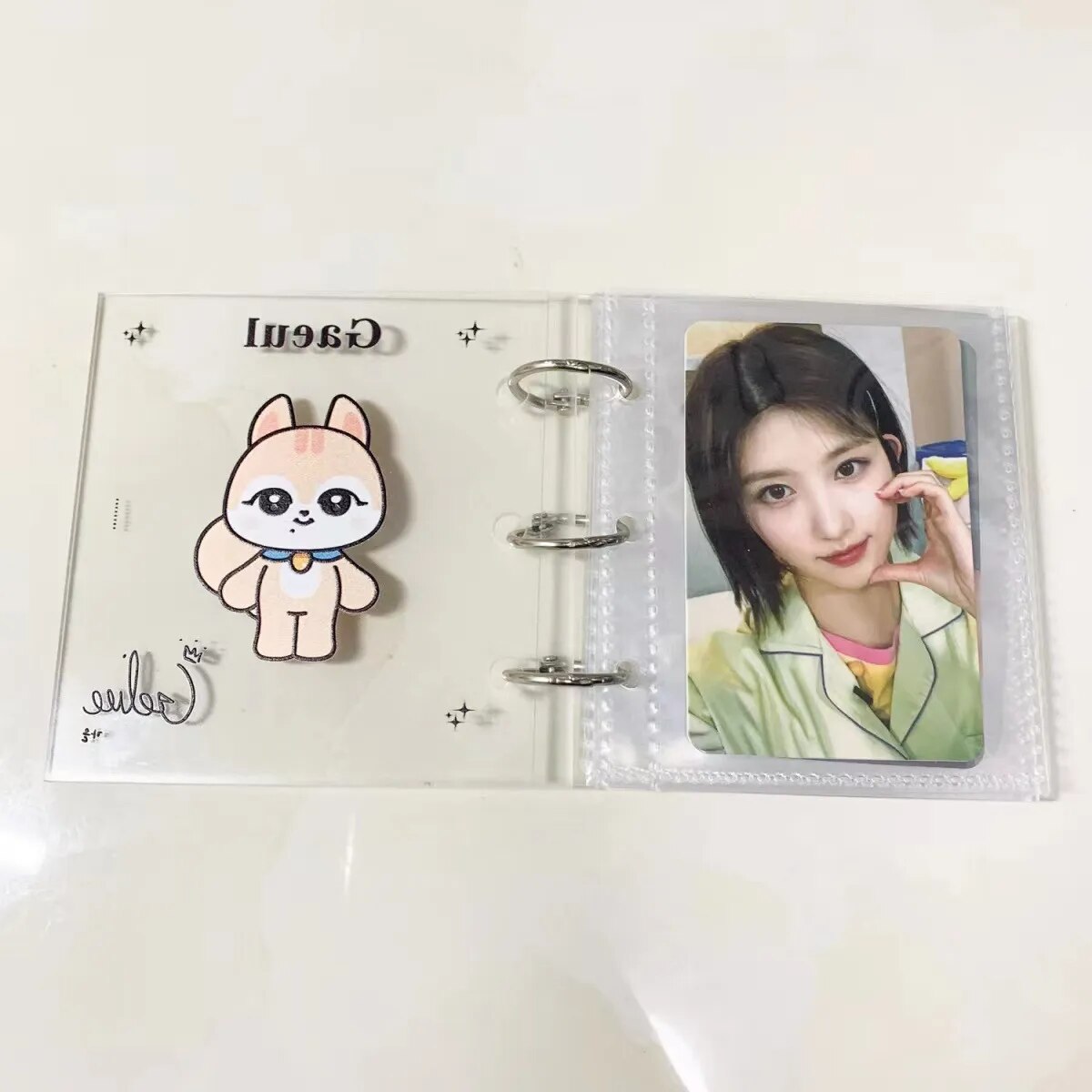 Livre de Collection IVE MINIVE