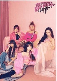POSTERS RED VELVET - BEST KPOP SHOP