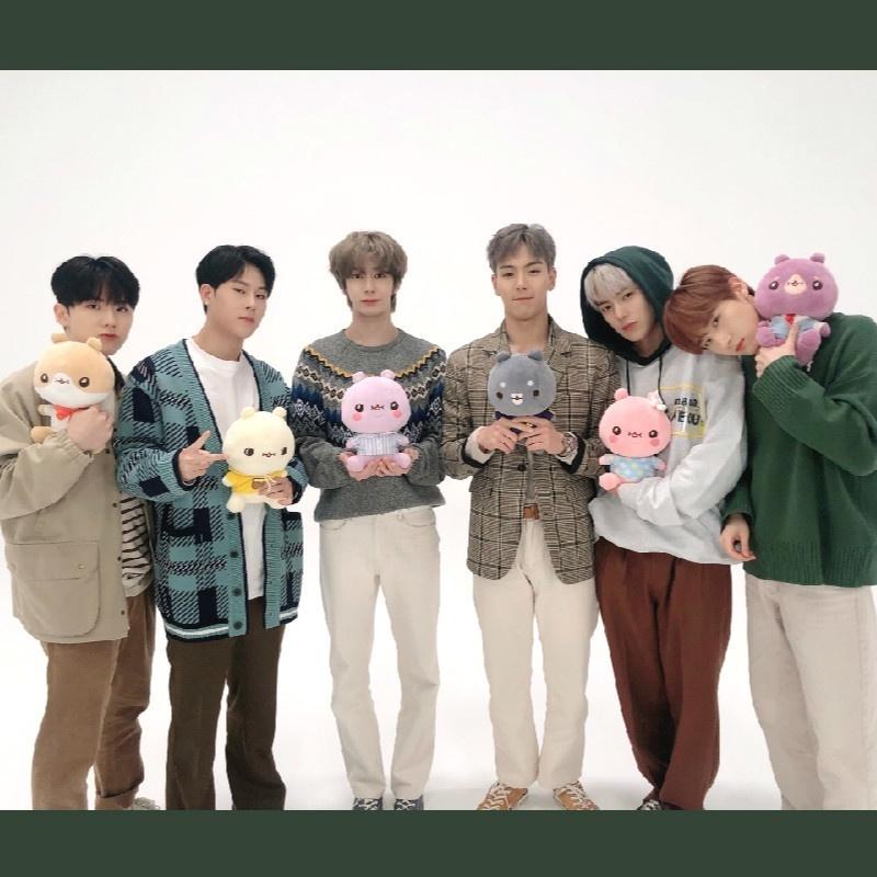 Peluche membre Monsta X de 30cm - BEST KPOP SHOP