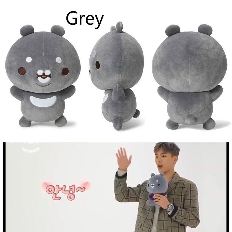 Peluche membre Monsta X de 30cm - BEST KPOP SHOP