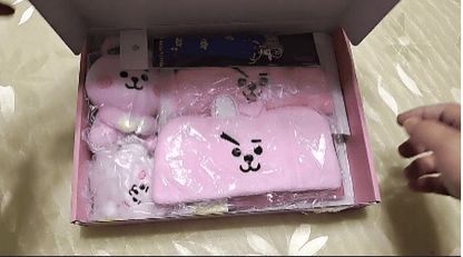 Boîte Mystère BT21 - BEST KPOP SHOP