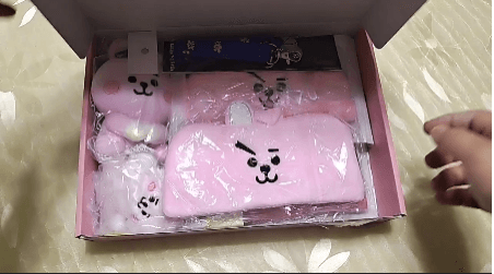 Boîte Mystère BT21 - BEST KPOP SHOP