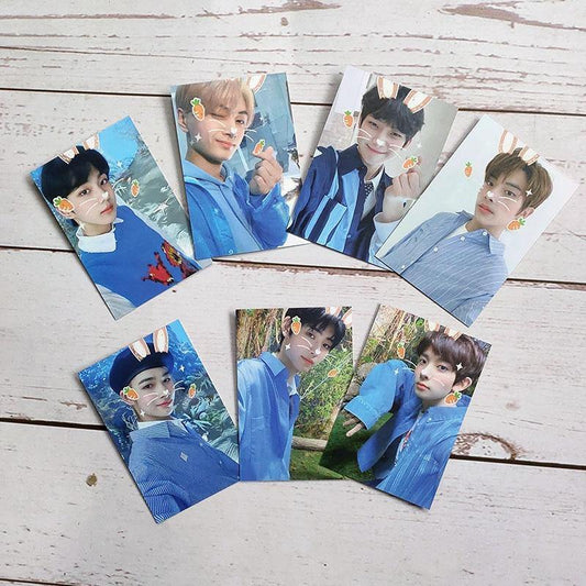7 Photocards ENHYPEN - BEST KPOP SHOP