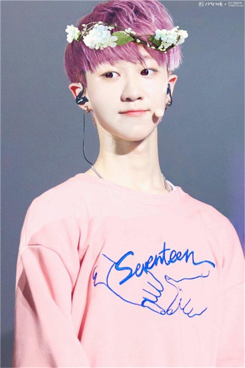 Pull SEVENTEEN - BEST KPOP SHOP